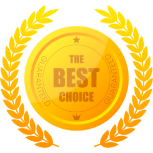 Das beste Umzugsunternehmen Diera-Zehren